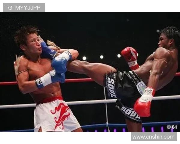 魔裟斗：从搏击传奇到全民偶像的华丽转身与奋斗历程