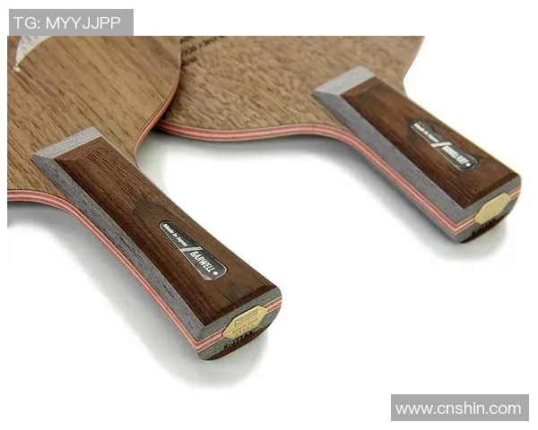 尼塔库品牌发展历程与未来展望探讨