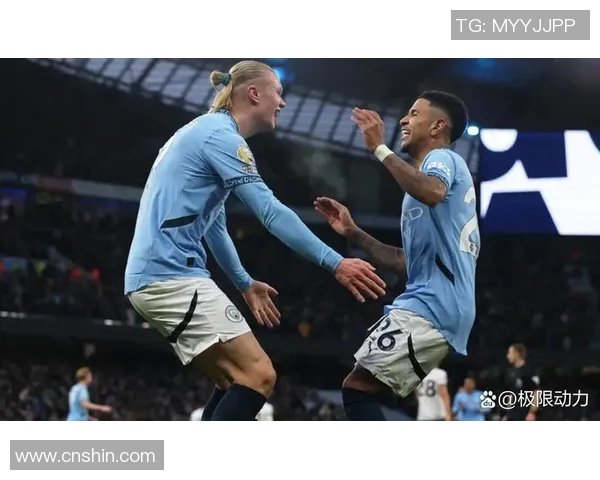 诺维奇与布莱顿精彩对决直播全程回顾与分析