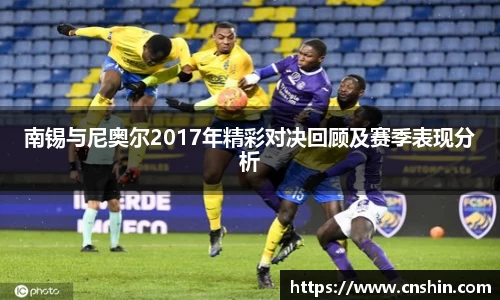南锡与尼奥尔2017年精彩对决回顾及赛季表现分析
