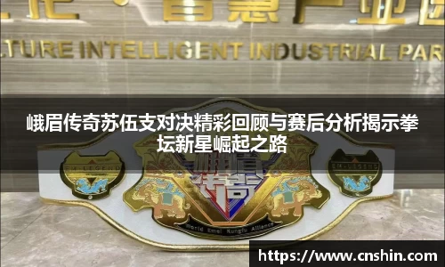峨眉传奇苏伍支对决精彩回顾与赛后分析揭示拳坛新星崛起之路